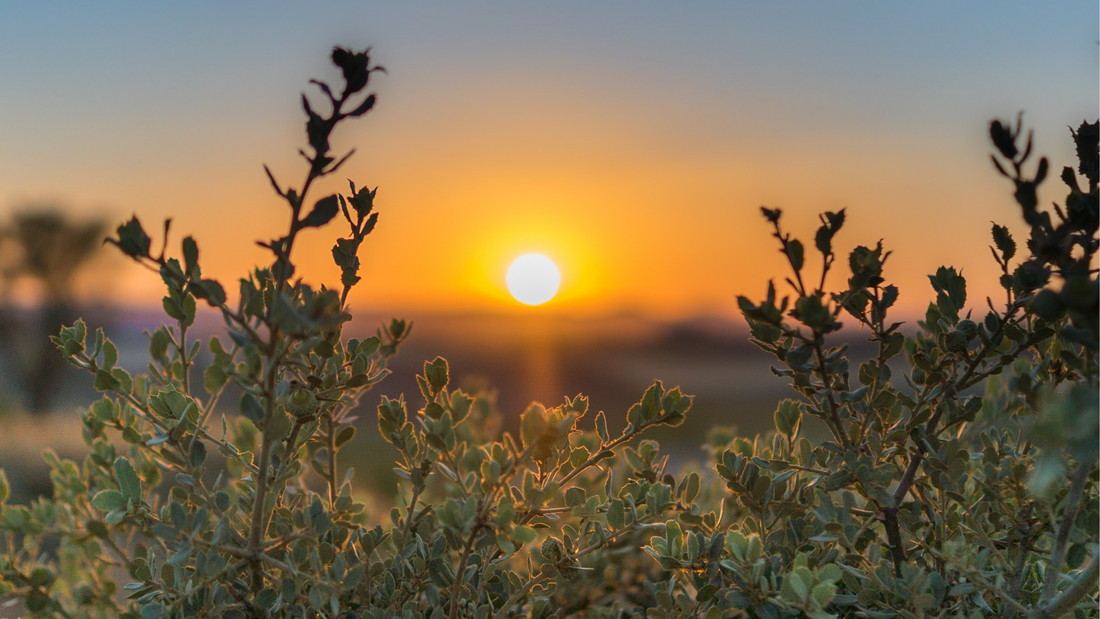 A cool new tool to improve mental wellbeing