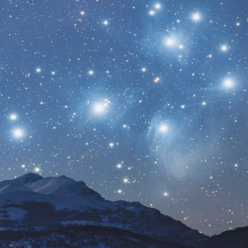 7 ways you can prepare for and celebrate  Matariki