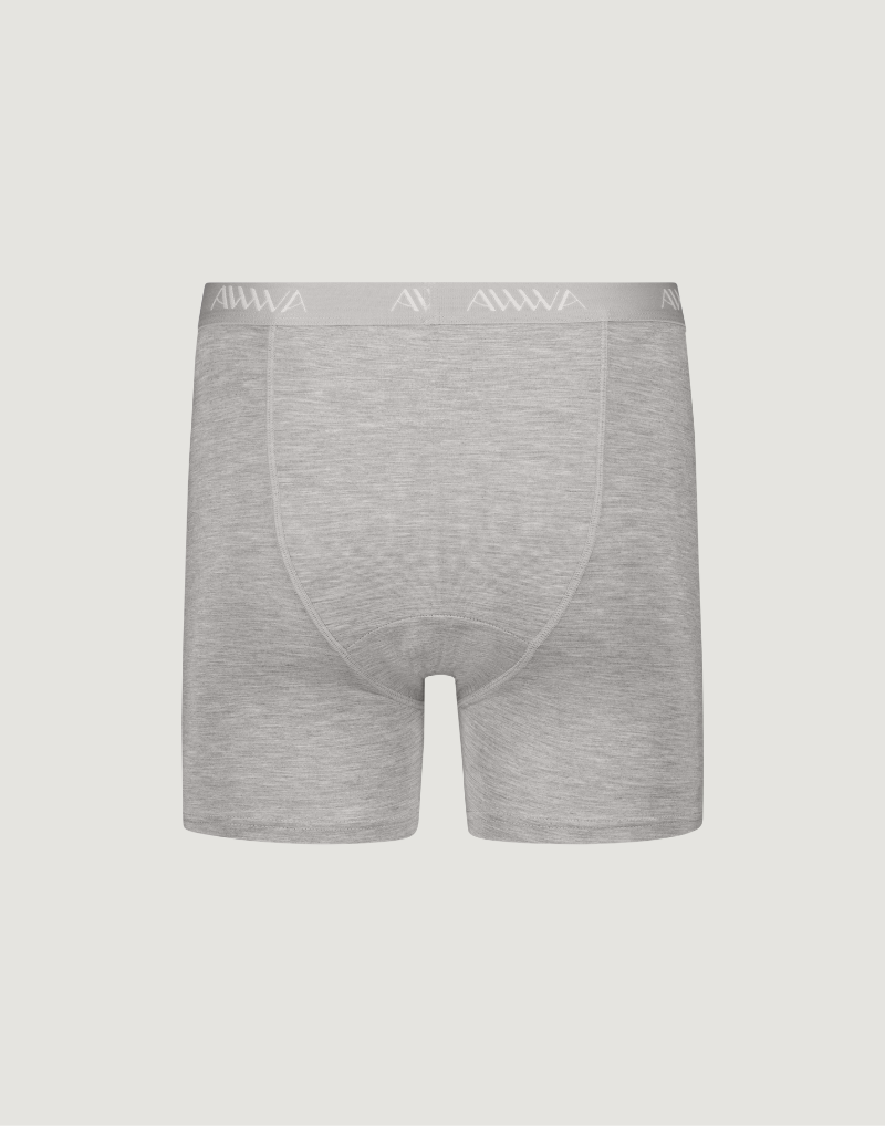 Boxer Brief