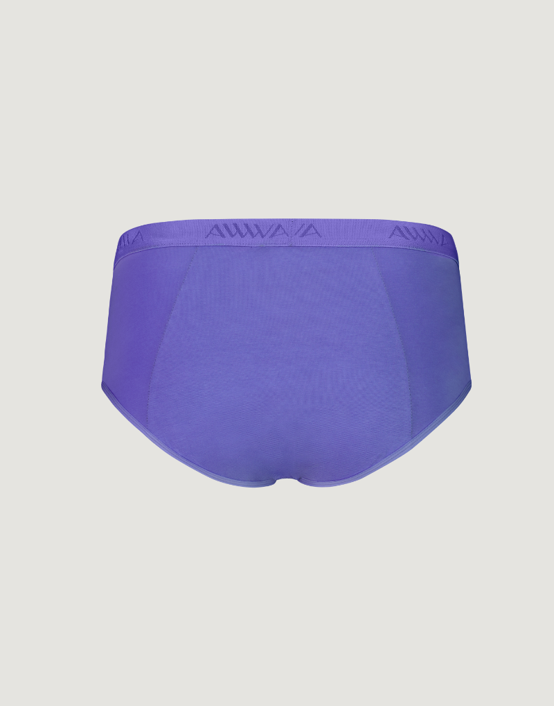 Organic Cotton Brief - Moss + Periwinkle